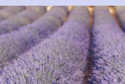 6월 국내 여행지 추천