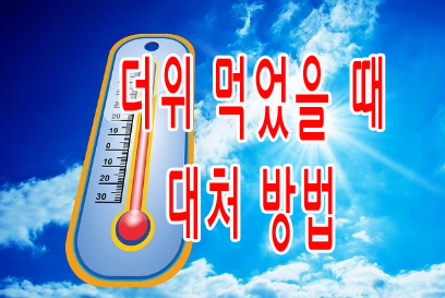 더위 먹었을 때 대처 방법