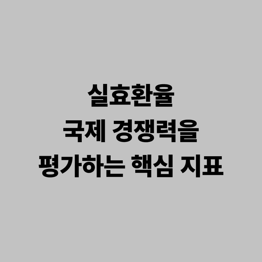 실효환율: 국제 경쟁력을 평가하는 핵심 지표