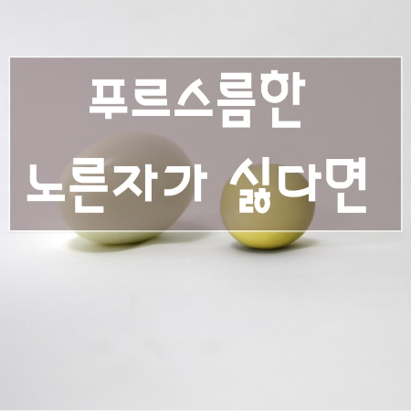 계란-노른자-색깔