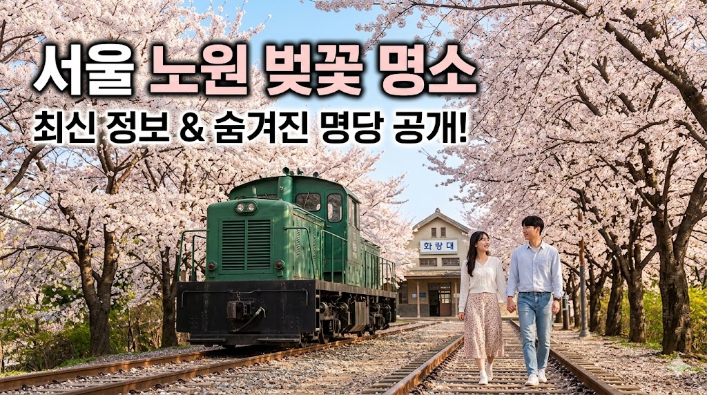 노원 벚꽃 명소