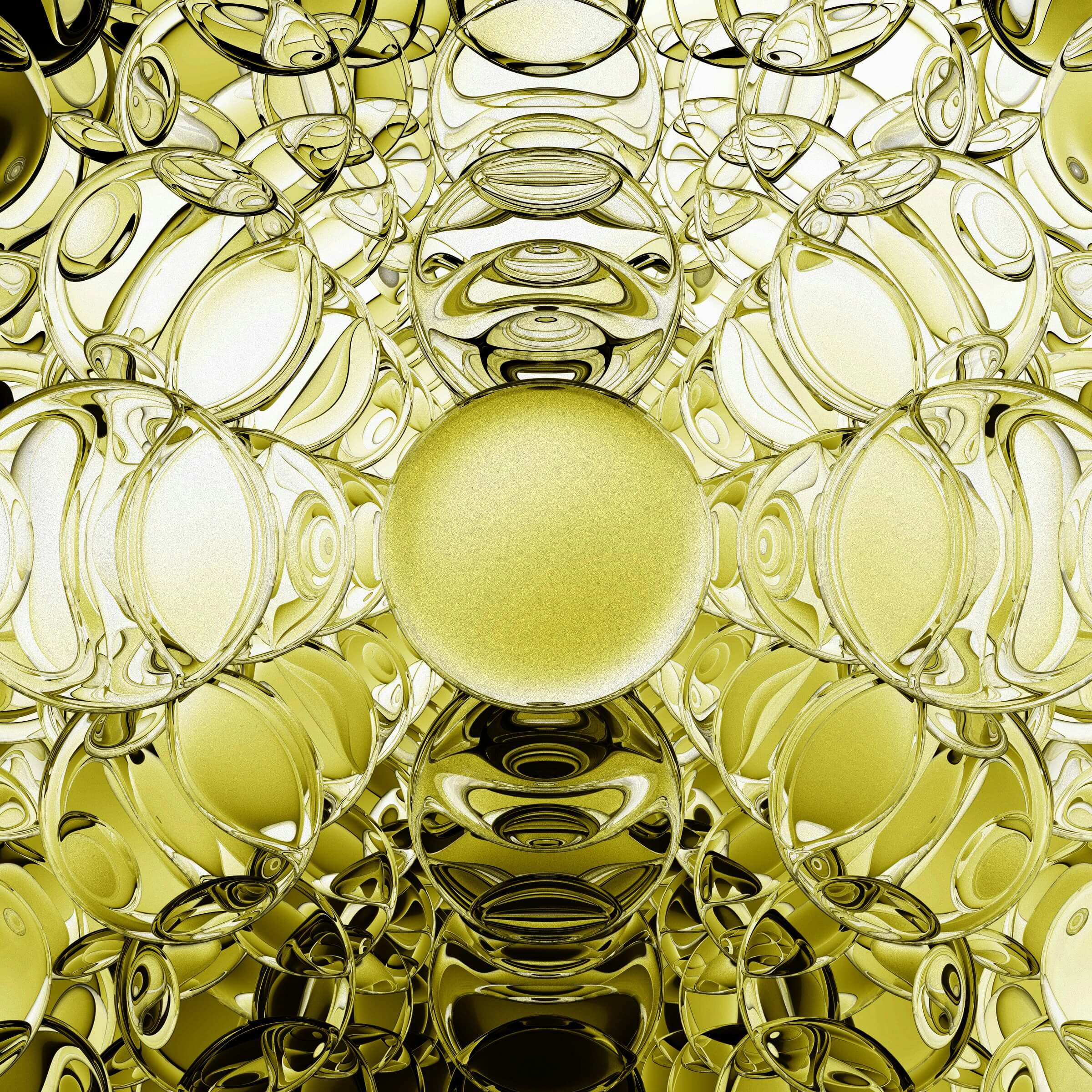 게걸무 씨앗 오일