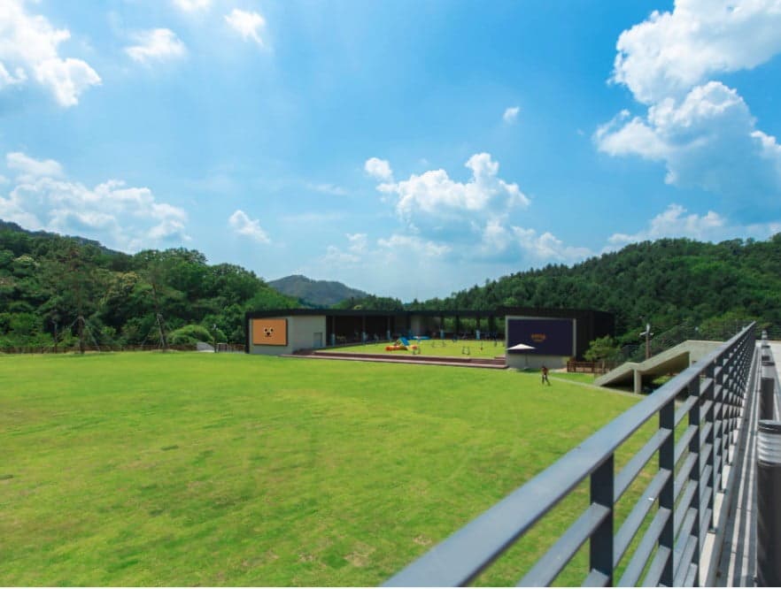 강아지와 특별한 하루! 강원도 춘천 ‘강아지숲’에서 함께하는 힐링 여행