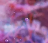 무료 접종 대상 바뀌었다? 2025년 독감 예방주사 최신 안내 및 주의사항 