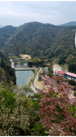 원주 소금산 출렁다리