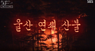 울산 봉대산 불다람쥐