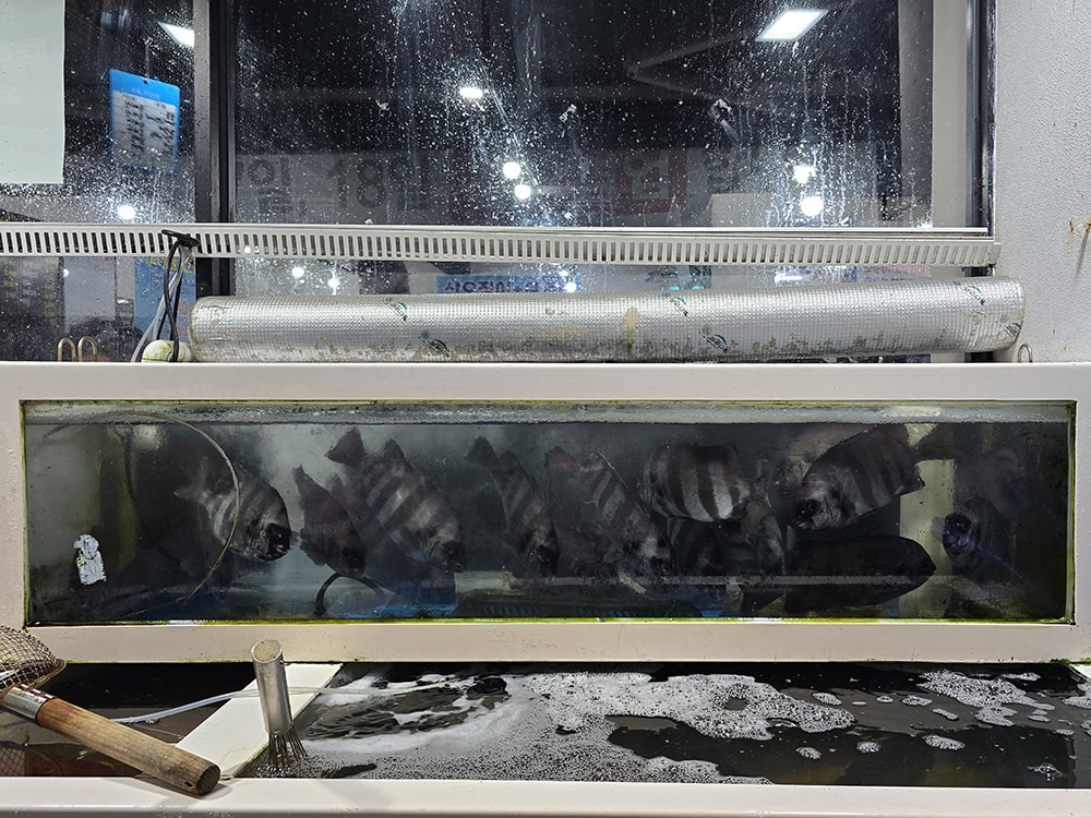 대구 수성구 들안길 불로회수산 수성점1