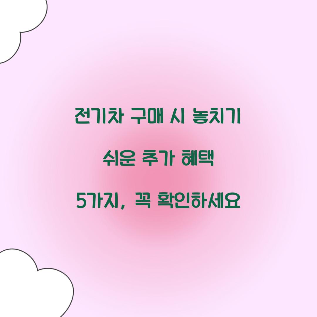 전기차 구매 시 놓치기 쉬운 추가 혜택 5가지