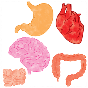 위내시경 금식시간 비용 검사 후 식사 총 정리!