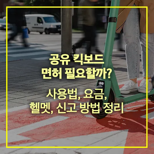 공유 킥보드 면허 불법주차 신고방법