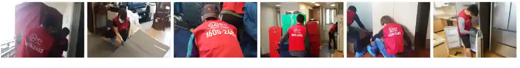 포장이사 vs 일반이사, 내 상황에 맞는 선택법