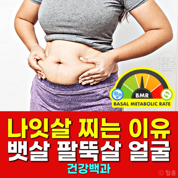 나잇살 찌는 이유 나이살 얼굴 뱃살 팔뚝살