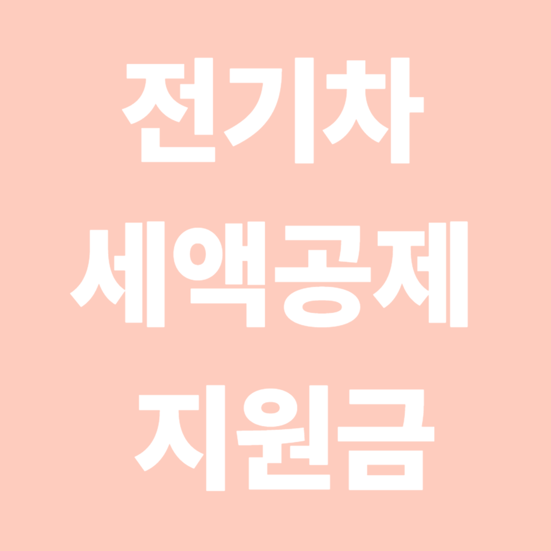 전기차 세액공제 지원금