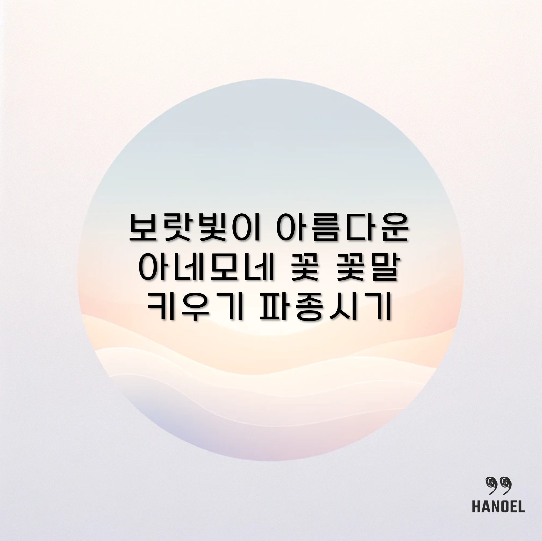 보랏빛이 아름다운 아네모네 꽃 꽃말 키우기 파종시기