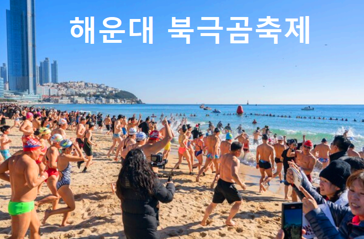 부산 해운대 북극곰 축제