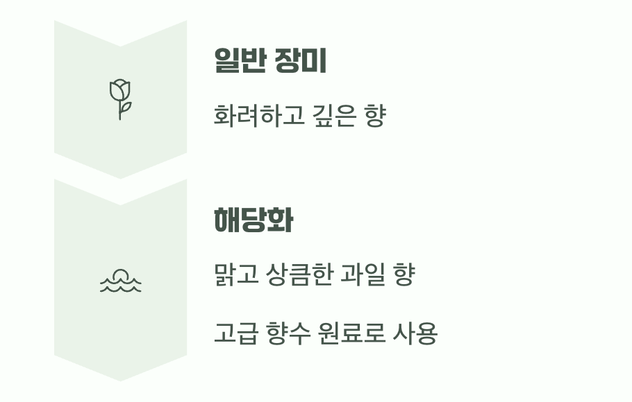 향기가 말해주는 또 다른 매력