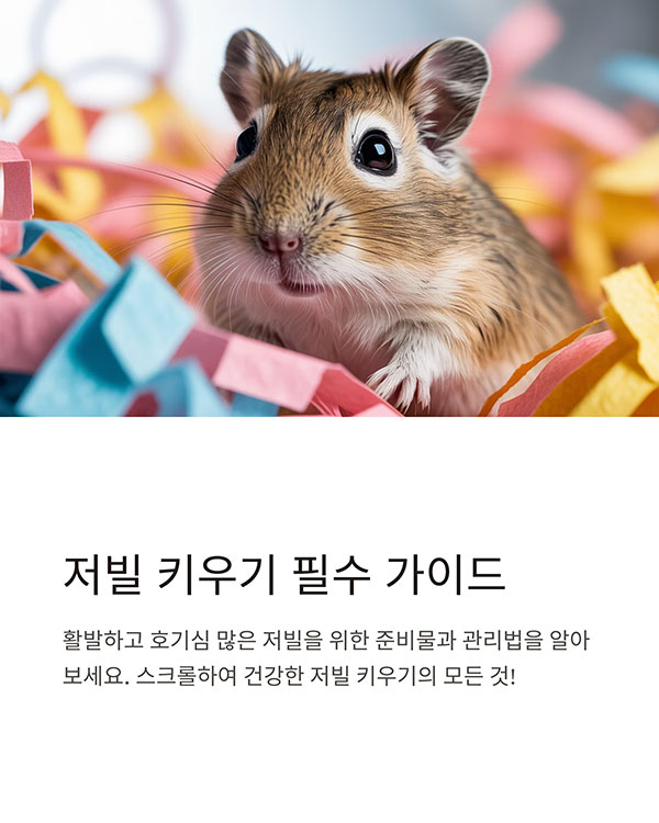 저빌을 키우기 위해 필요한 준비물은?
