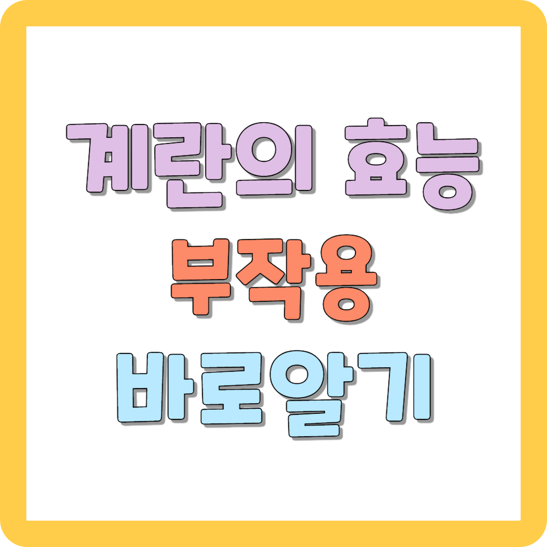 계란의 효능과 부작용 바로알기