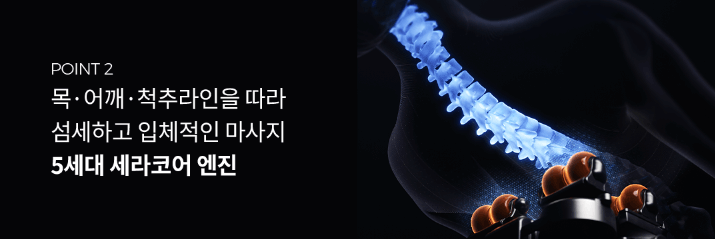 세라젬 효능2