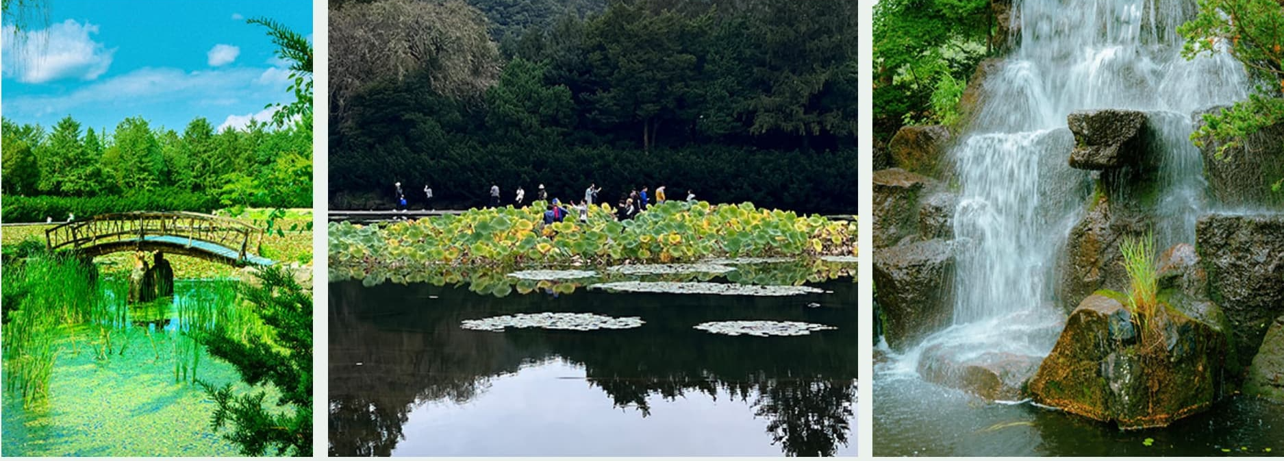 벽초지수목원 봄꽃축제❘온라인 예매 방법, 계절별 즐길 거리, 촬영지