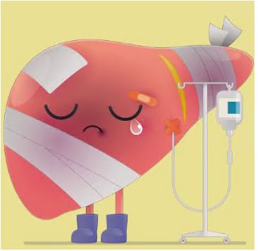 알부민의-효능-효과