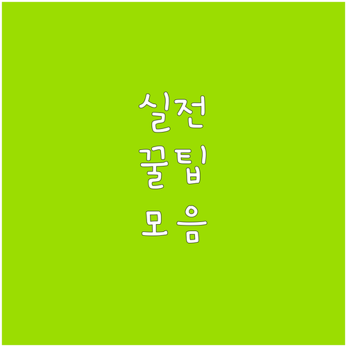국가유공자 2025 문경시 보훈명예수..