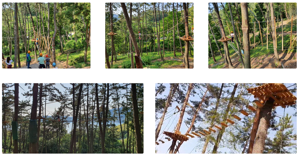 거제맹종죽-테마파크-전경