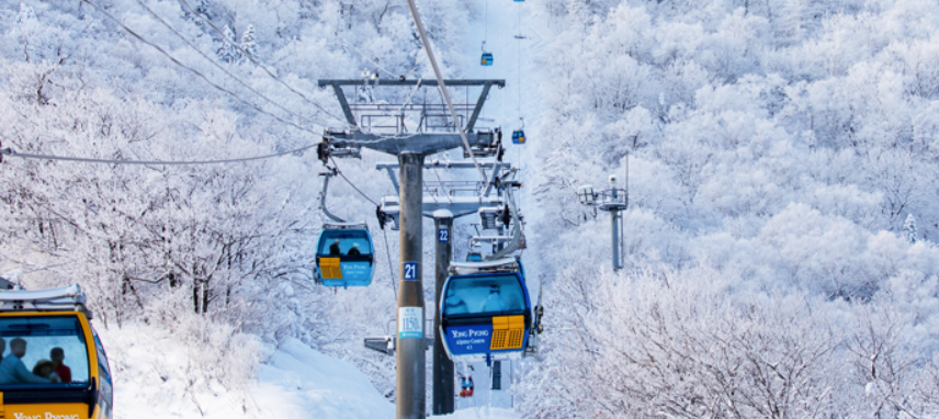 발왕산-케이블카-요금