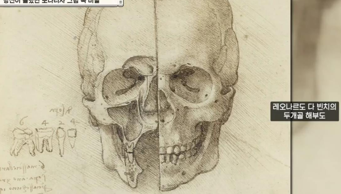 레오나르도 다 빈치의 두개골 해부도