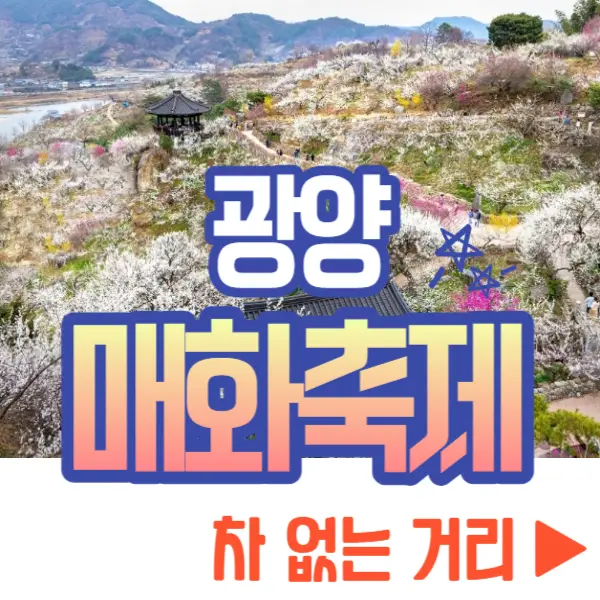 광양 매화축제 교통