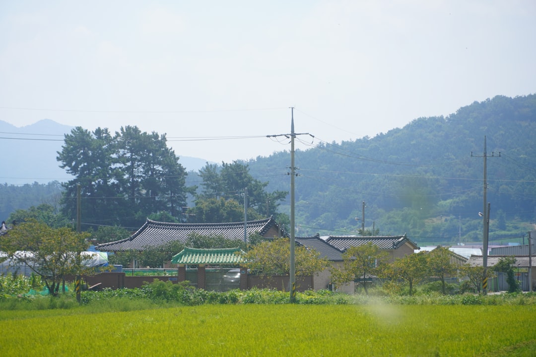 Chuseok