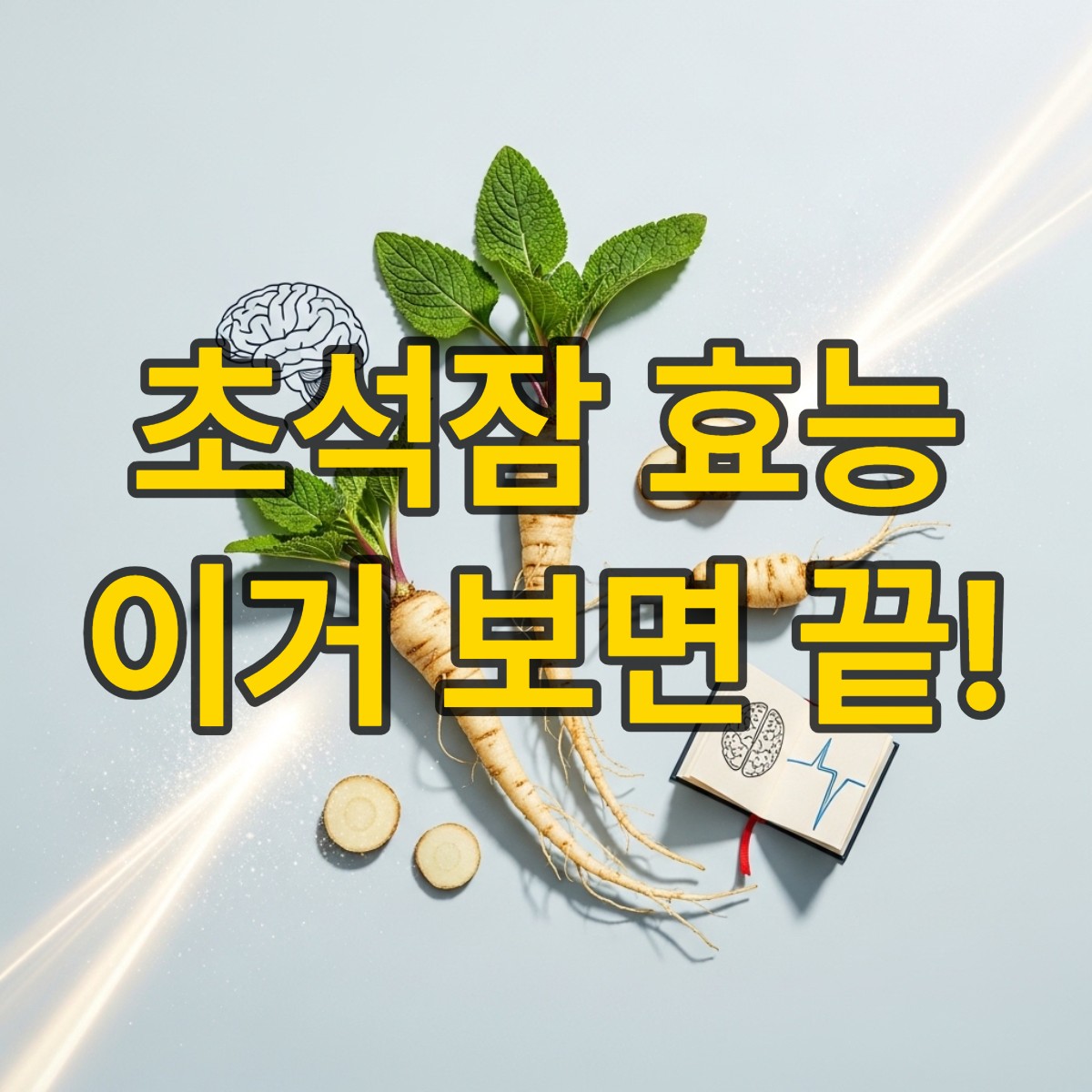 초석잠 효능
