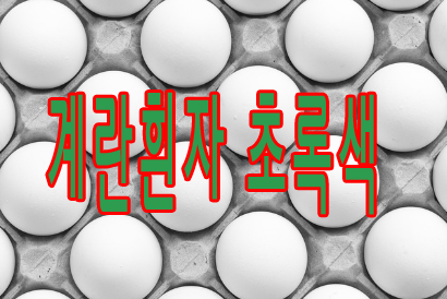 계란흰자 초록색