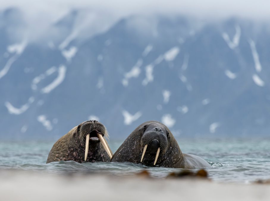 아쿠아플라넷 일산