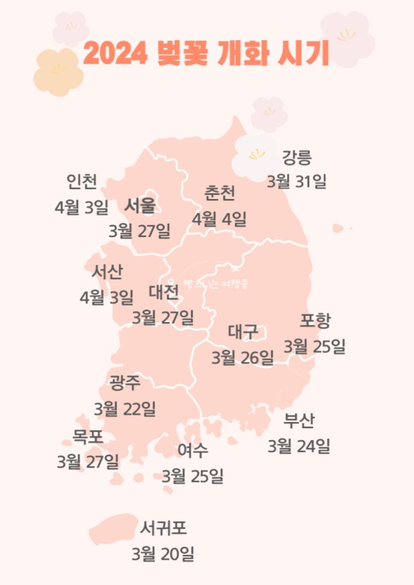 2024년 벚꽃 개화시기
