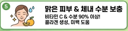 돌나물 효능