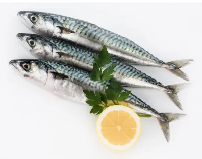 면역력 강화에 좋은 음식 12가지