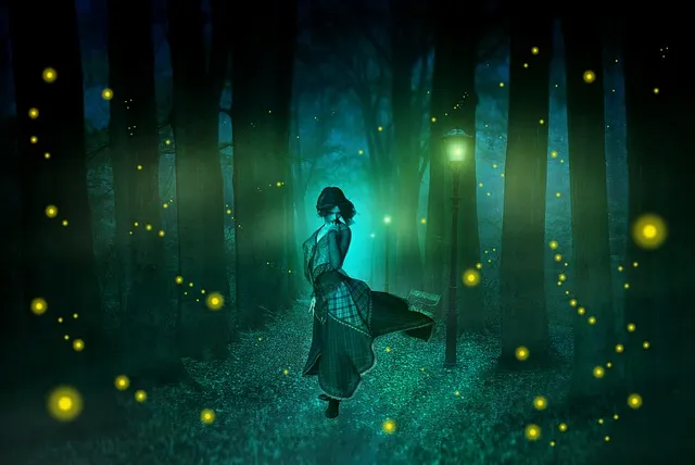 황가람 나는 반딧불 가사 악보 무료 듣기_1