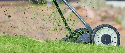 충주시 벌초 대행 서비스 추천