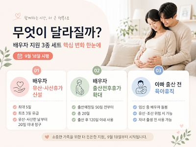 배우자 지원 3종 세트의 핵심 변화와 기간, 주의사항을 한눈에 비교한 이미지