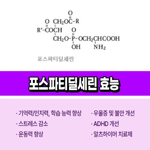 포스파티딜세린 효능