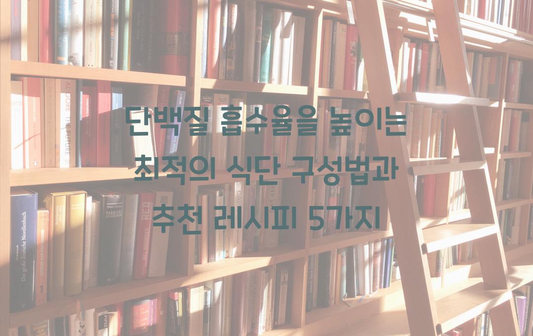 단백질 흡수율을 높이는 최적의 식단 구성법