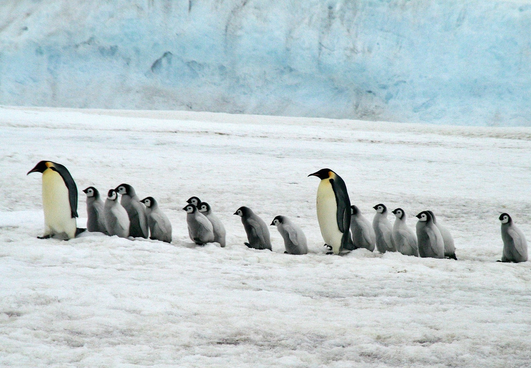  기후 위기는 왜 &lsquo;교육과 노동시장&rsquo;부터 무너뜨리는가?