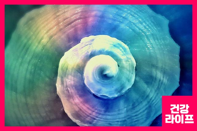 내이의 구조를 방해하여 머리가 어지러운 증상, 메스꺼움 및 구토를 유발