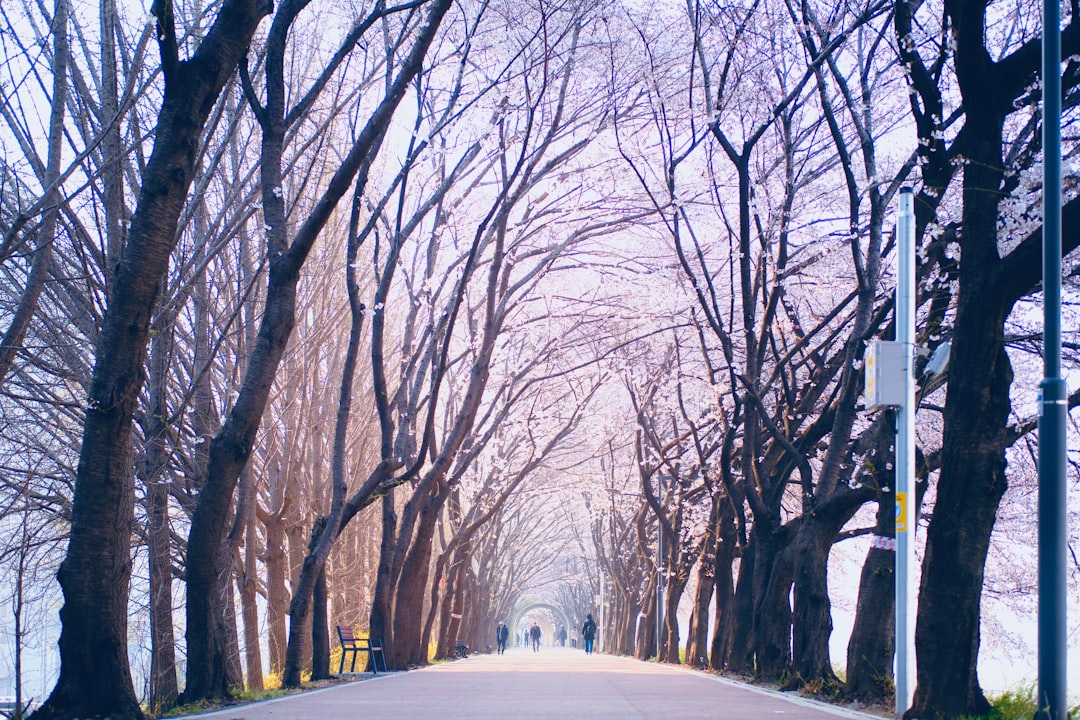 Gwangmyeong