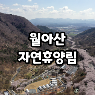 썸네일 입니다.