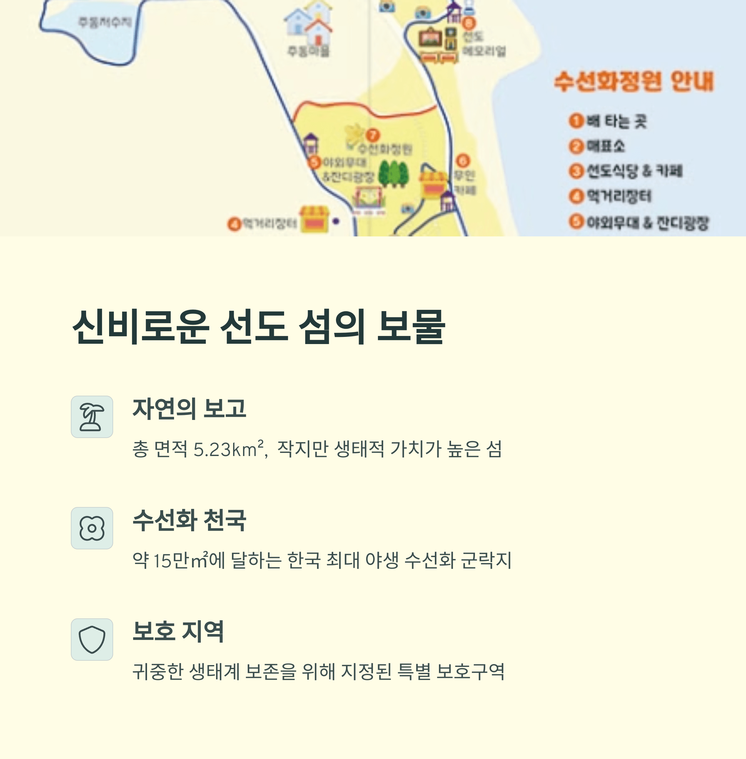 2025년 신안 선도 섬 수선화 축제