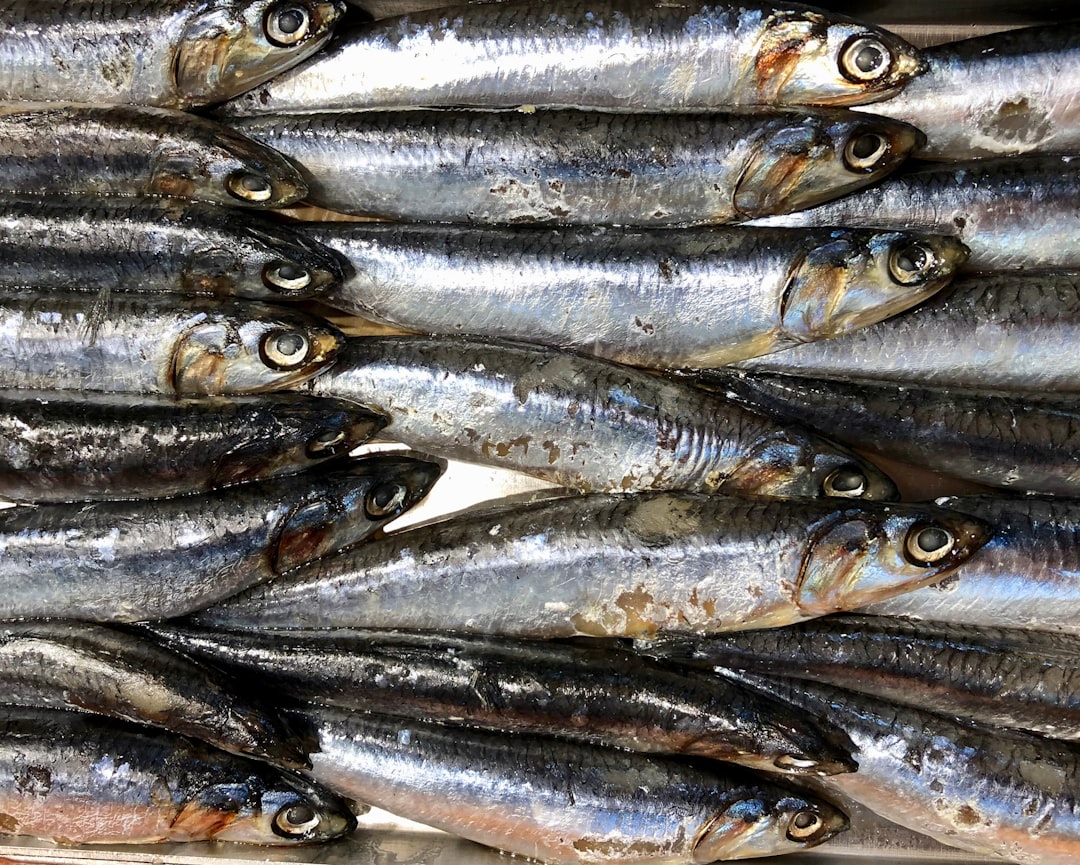 Omega-3