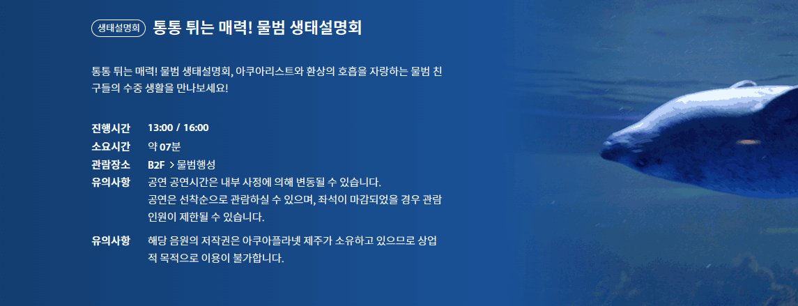 63아쿠아플라멧