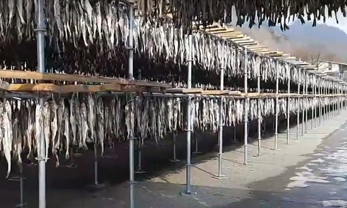 황태